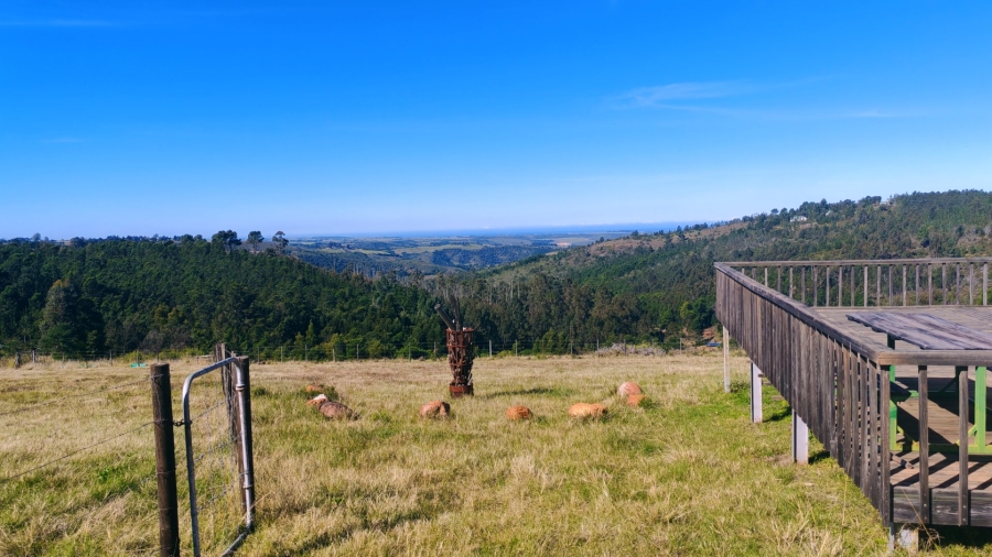 Commercial Property for Sale in Friemersheim Western Cape